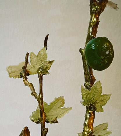Grand Emerald Fig Bonsai — Collector's Masterpiece