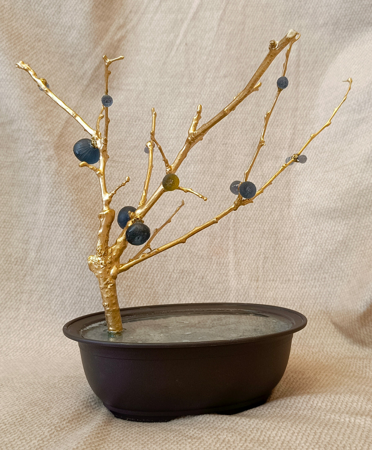 Blue Brass Fig Tree