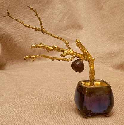 Imperial copper Bonsai tree