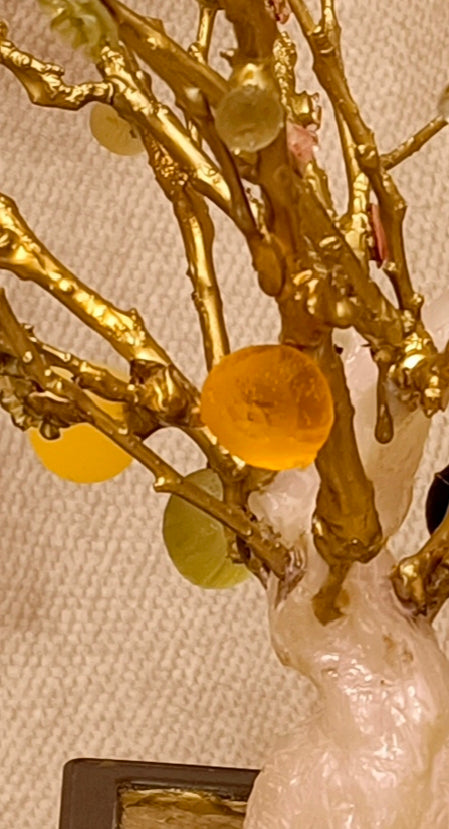 Imperial Bonsai fig tree . from seashell glass