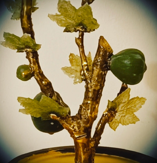 Grand Emerald Fig Bonsai — Collector's Masterpiece